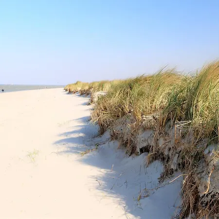 50 4 N Nordkoje Schillig