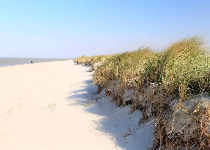 50 4 N Nordkoje 쉴리그